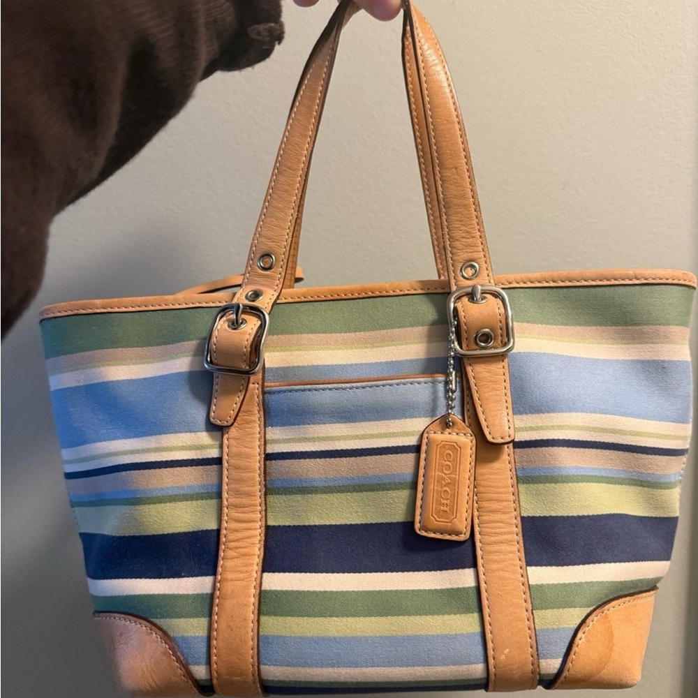Coach Hampton Small Y2K Striped Bag